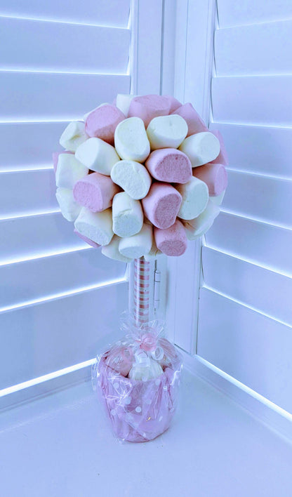 white Marshmallow sweet tree in UK